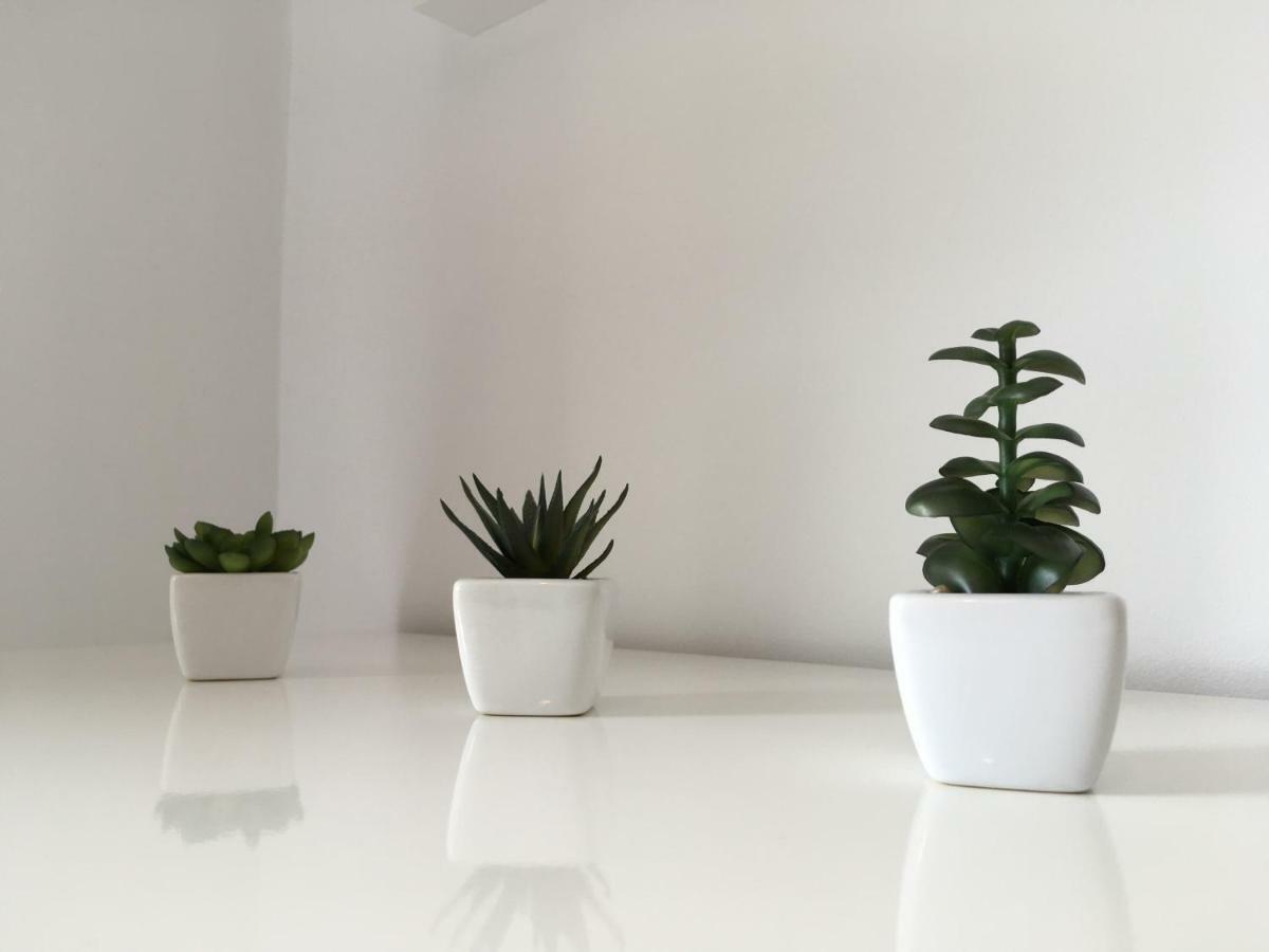 Apartments 诺维·维诺多尔斯基 外观 照片
